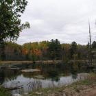 Cedar River Nature Sanctuary 